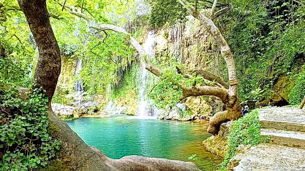 Aksu Fayans Ustası – Modern ve Dayanıklı Seramik Uygulamalarıyla Fark Yaratın